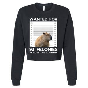 Capybara Mugshot Wanted For 93 Felonies Across The Country Cropped Pullover Crew