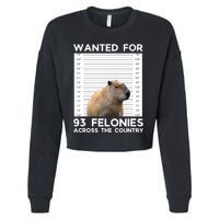 Capybara Mugshot Wanted For 93 Felonies Across The Country Cropped Pullover Crew