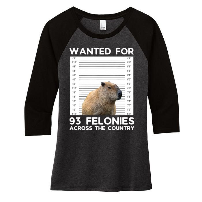 Capybara Mugshot Wanted For 93 Felonies Across The Country Women's Tri-Blend 3/4-Sleeve Raglan Shirt