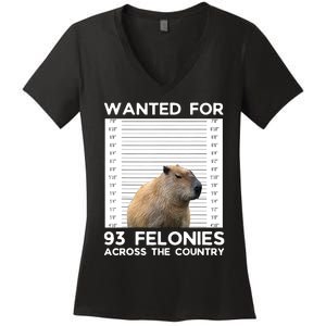 Capybara Mugshot Wanted For 93 Felonies Across The Country Women's V-Neck T-Shirt