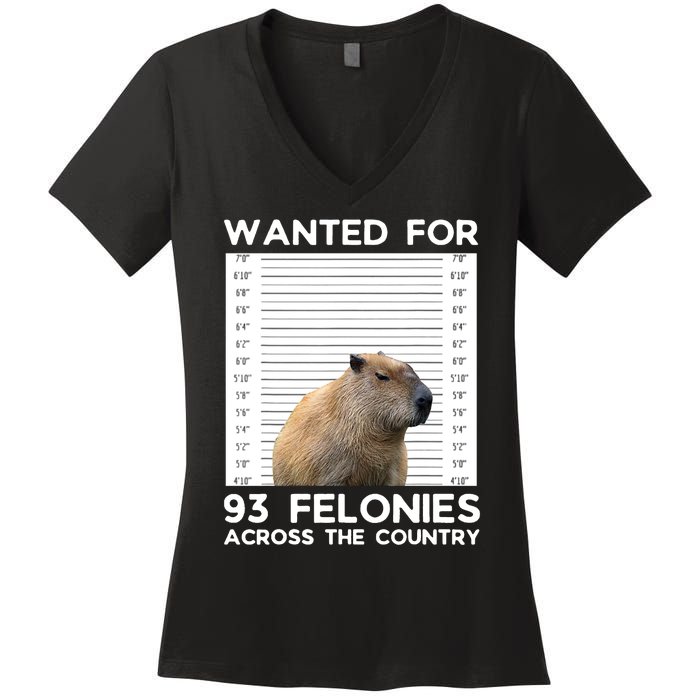 Capybara Mugshot Wanted For 93 Felonies Across The Country Women's V-Neck T-Shirt