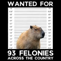 Capybara Mugshot Wanted For 93 Felonies Across The Country Stripe Pom Pom Beanie