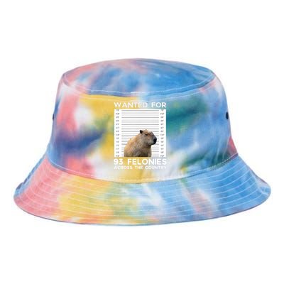 Capybara Mugshot Wanted For 93 Felonies Across The Country Tie Dye Newport Bucket Hat