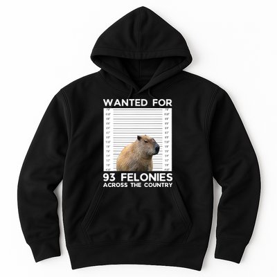 Capybara Mugshot Wanted For 93 Felonies Across The Country Hoodie