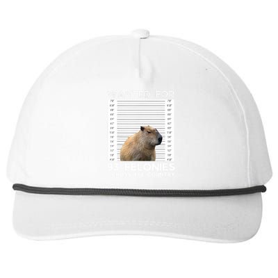 Capybara Mugshot Wanted For 93 Felonies Across The Country Snapback Five-Panel Rope Hat