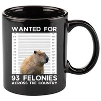 Capybara Mugshot Wanted For 93 Felonies Across The Country 11oz C Handle Ceramic Mug