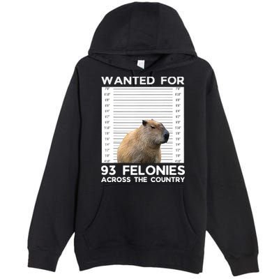 Capybara Mugshot Wanted For 93 Felonies Across The Country Premium Pullover Hoodie