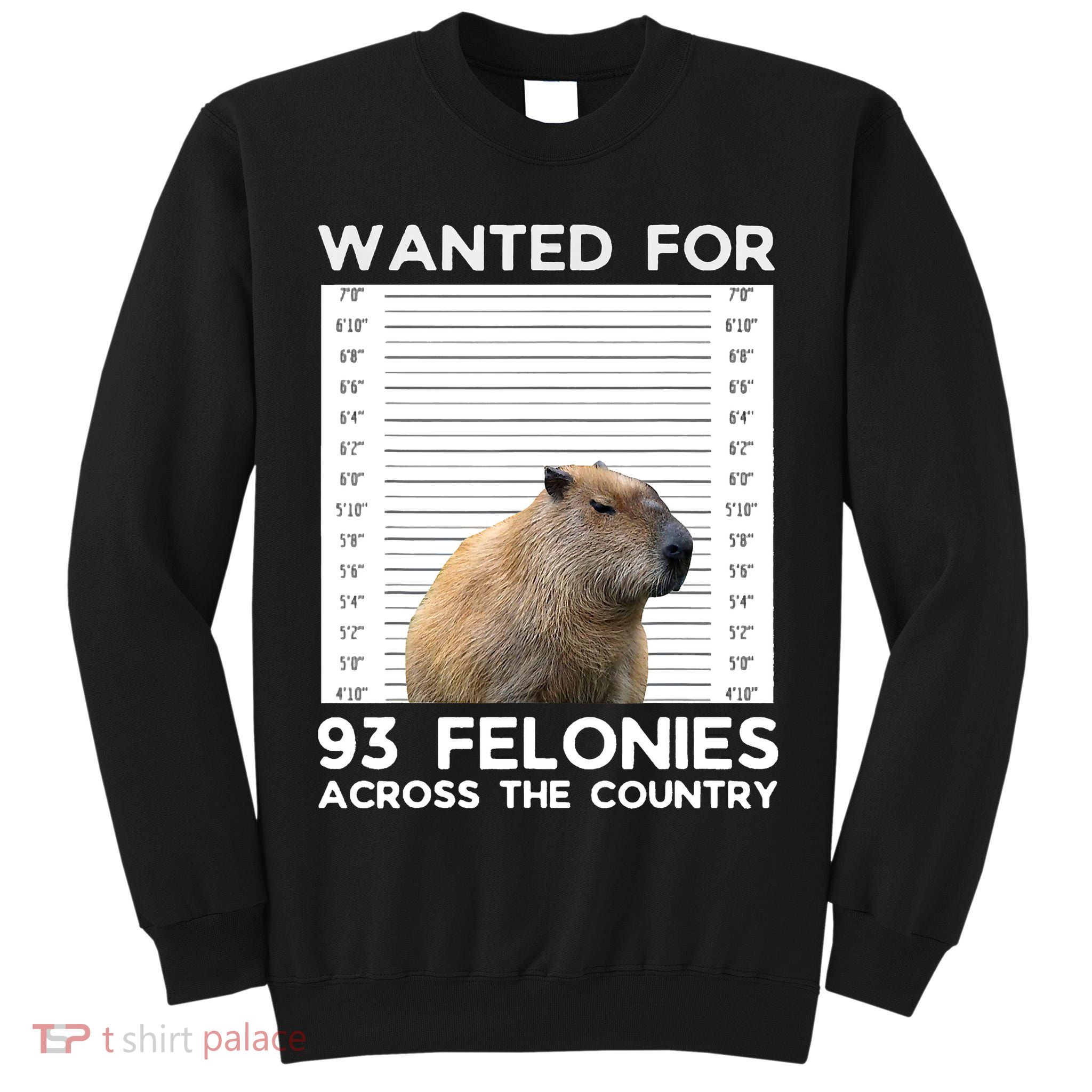 Capybara Mugshot Wanted For 93 Felonies Across The Country Tall Sweatshirt