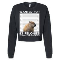 Capybara Mugshot Wanted For 93 Felonies Across The Country Cropped Pullover Crew
