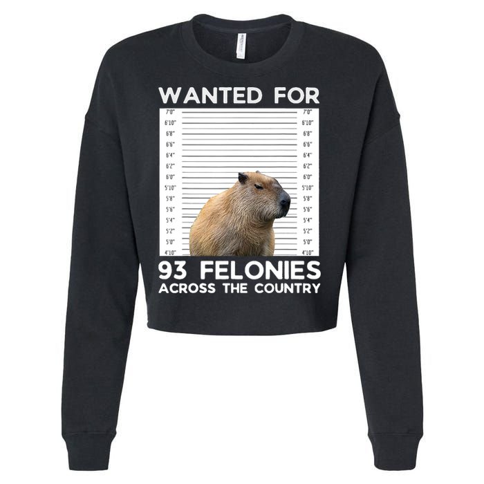 Capybara Mugshot Wanted For 93 Felonies Across The Country Cropped Pullover Crew