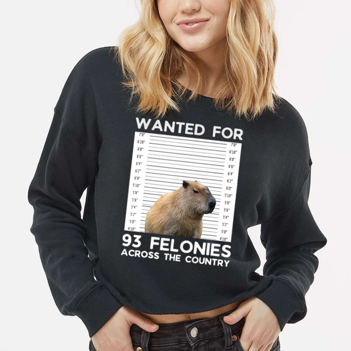 Capybara Mugshot Wanted For 93 Felonies Across The Country Cropped Pullover Crew