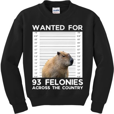 Capybara Mugshot Wanted For 93 Felonies Across The Country Kids Sweatshirt