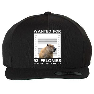 Capybara Mugshot Wanted For 93 Felonies Across The Country Wool Snapback Cap