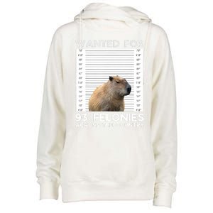 Capybara Mugshot Wanted For 93 Felonies Across The Country Womens Funnel Neck Pullover Hood