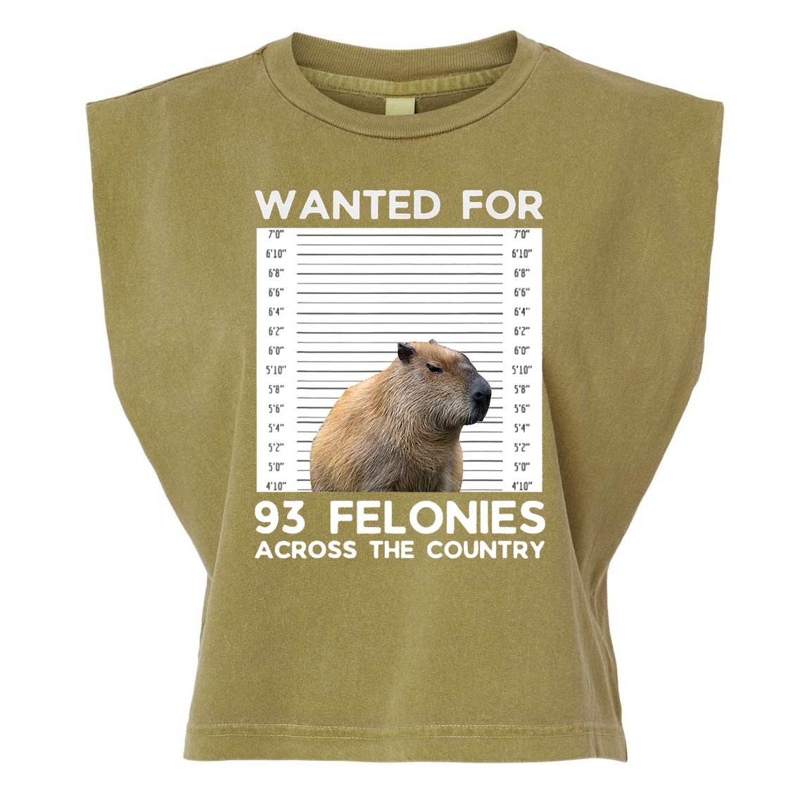 Capybara Mugshot Wanted For 93 Felonies Across The Country Garment-Dyed Women's Muscle Tee