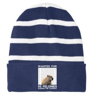 Capybara Mugshot Wanted For 93 Felonies Across The Country Striped Beanie with Solid Band