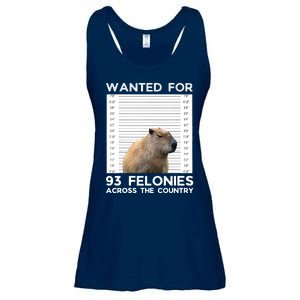 Capybara Mugshot Wanted For 93 Felonies Across The Country Ladies Essential Flowy Tank