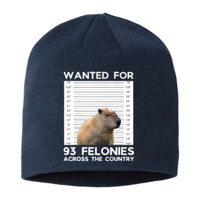 Capybara Mugshot Wanted For 93 Felonies Across The Country Sustainable Beanie