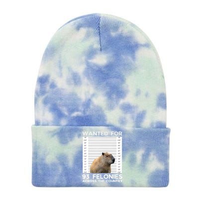 Capybara Mugshot Wanted For 93 Felonies Across The Country Tie Dye 12in Knit Beanie