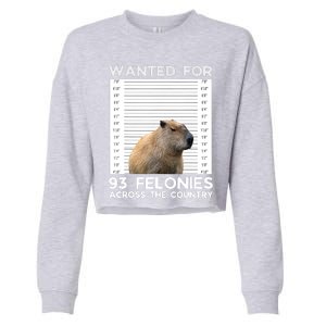 Capybara Mugshot Wanted For 93 Felonies Across The Country Cropped Pullover Crew