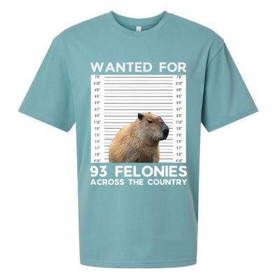 Capybara Mugshot Wanted For 93 Felonies Across The Country Sueded Cloud Jersey T-Shirt