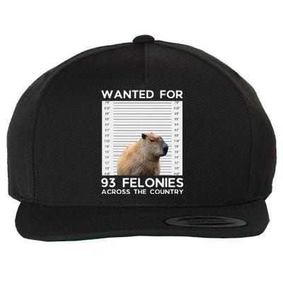 Capybara Mugshot Wanted For 93 Felonies Across The Country Wool Snapback Cap