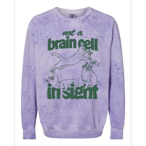 Cat Not A Brain Cell In Sight Colorblast Crewneck Sweatshirt