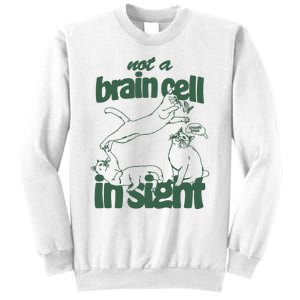 Cat Not A Brain Cell In Sight Sweatshirt