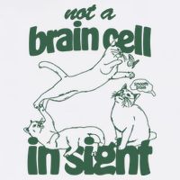 Cat Not A Brain Cell In Sight Flat Bill Trucker Hat