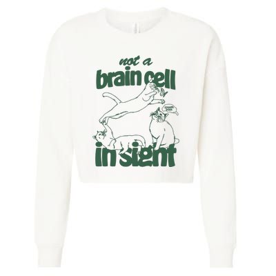 Cat Not A Brain Cell In Sight Cropped Pullover Crew