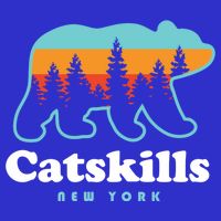 Catskills Ny Bear Mountains Camping Hiking New York Gift Women's V-Neck T-Shirt