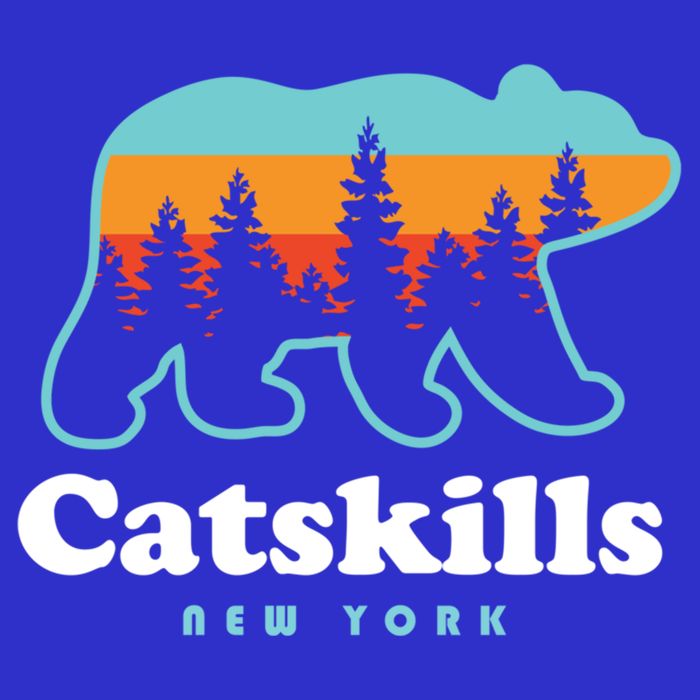 Catskills Ny Bear Mountains Camping Hiking New York Gift Women's V-Neck T-Shirt