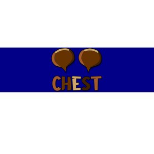 Chest Nuts Couples Matching Christmas Chestnut For Her Gift Bumper Sticker