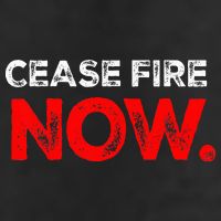 Ceasefire NOW Adult Drive Performance Visor