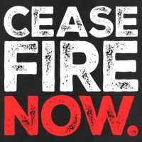 Ceasefire Now Adult Drive Performance Visor