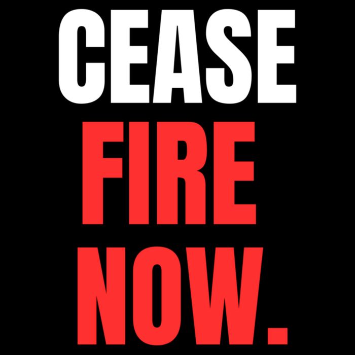 Ceasefire Now Cooling Performance Crew T-Shirt