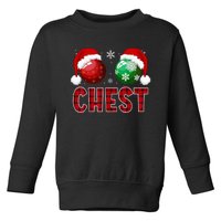 Chest Nuts Christmas Funny Matching Couple Chestnuts Toddler Sweatshirt