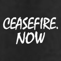 Ceasefire NOW Adult Drive Performance Visor