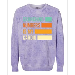 Crunching Numbers CPA Accounting Accountant Colorblast Crewneck Sweatshirt