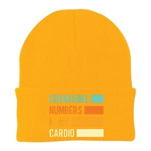 Crunching Numbers CPA Accounting Accountant Knit Cap Winter Beanie