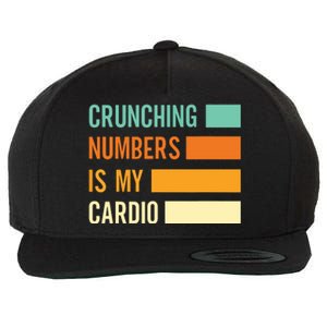 Crunching Numbers CPA Accounting Accountant Wool Snapback Cap