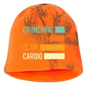 Crunching Numbers CPA Accounting Accountant Kati - Camo Knit Beanie