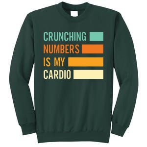 Crunching Numbers CPA Accounting Accountant Sweatshirt