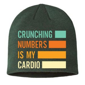 Crunching Numbers CPA Accounting Accountant Sustainable Beanie