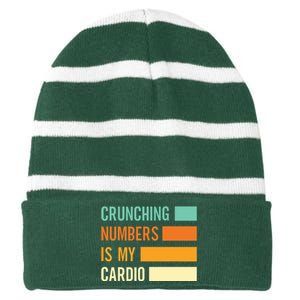 Crunching Numbers CPA Accounting Accountant Striped Beanie with Solid Band