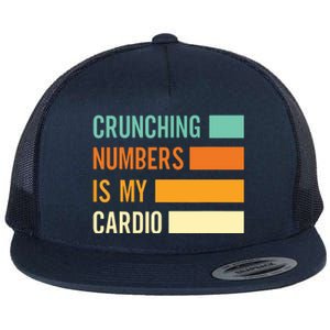 Crunching Numbers CPA Accounting Accountant Flat Bill Trucker Hat