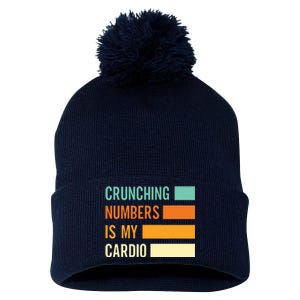 Crunching Numbers CPA Accounting Accountant Pom Pom 12in Knit Beanie