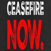 Ceasefire NOW Adult Drive Performance Visor
