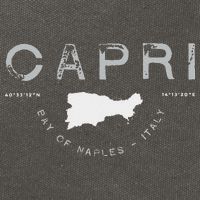 Capri Naples Italy Graphic Cotton Canvas Backpack