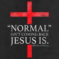 Christian Normal Isnt Coming Back Jesus Is Gift Adult Drive Performance Visor